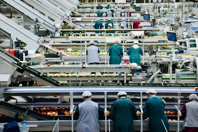 Manufactura y producción.